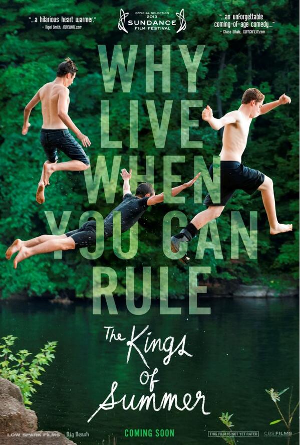 The Kings Of Summer